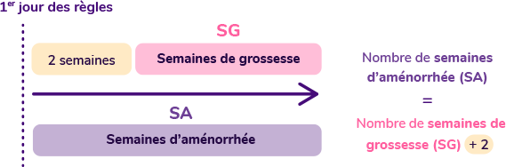 L'IVG médicamenteuse | IVG info, tout savoir sur l'avortement ...